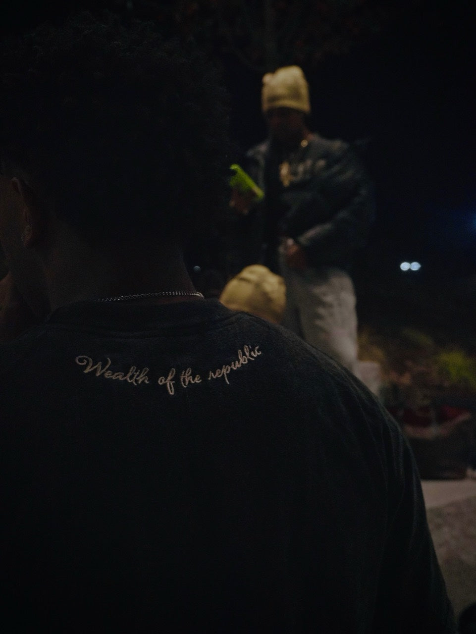 Detail of the Wealth of the republic shirt